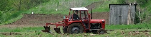 4265-DSCF0088.jpg, 35 KB